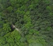 Drone Startup aims to plant One Billion Trees a Year - Mistbreaker News