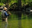 FishBrain is tapping a Blue Ocean with their Sport Fishing App - Mistbreaker News