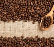 Turning used Coffee Beans into Fuel in the Circular Economy -- Mistbreaker News