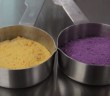 Food powder